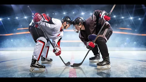 Шлемы хокеистов склеились. Матч сорван.